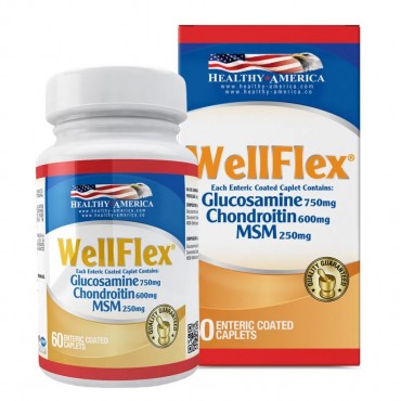 WELLFLEX HEALTHY AMERICA...